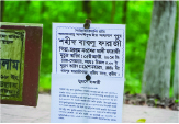 Image of মো: বাবলু ফরাজী